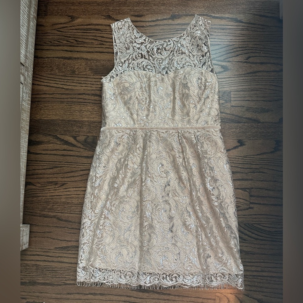 Jenny Yoo Collection Harlow Champagne and Silver Lace Cocktail Dress - size 14